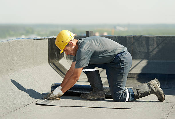 Best Insulation Maintenance and Repair in Dade City, FL