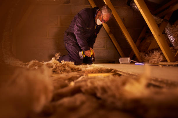 Best Residential Insulation in Dade City, FL